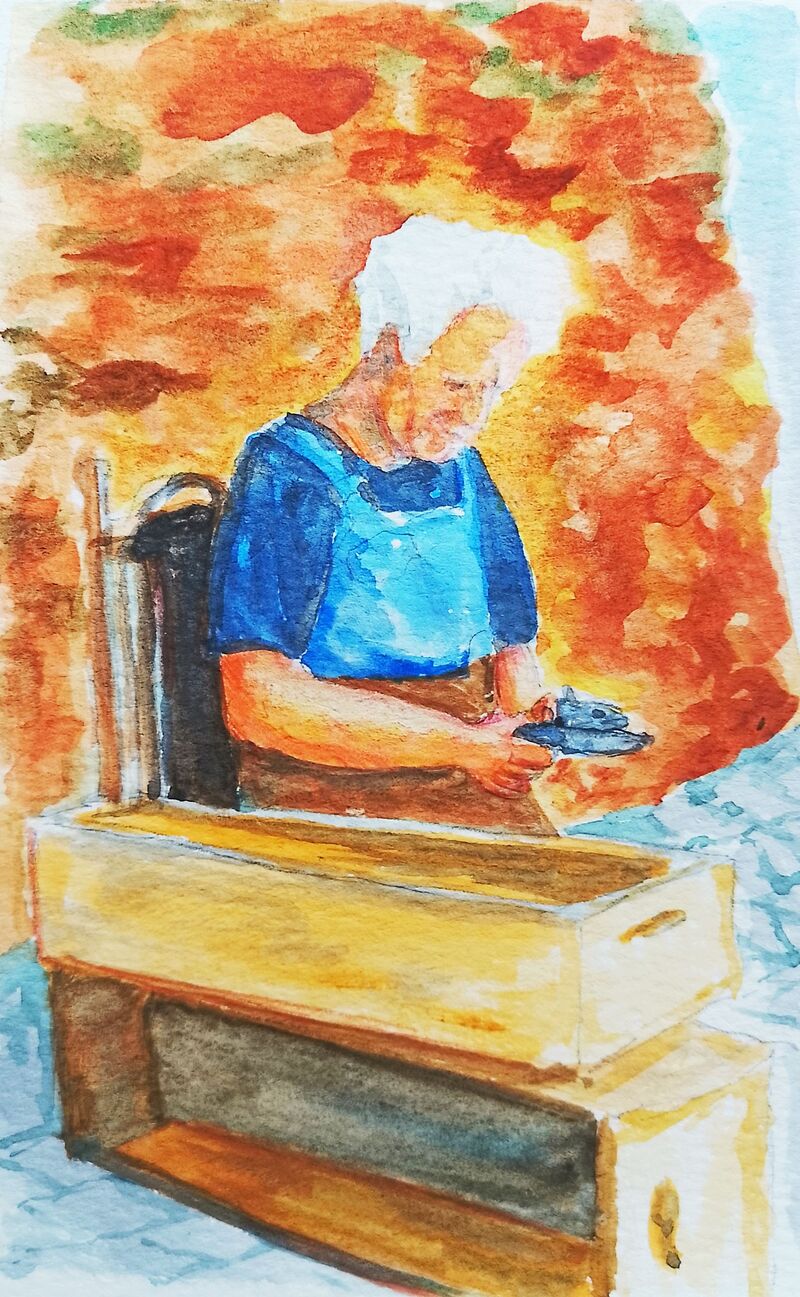 Old Bob - Watercolour by Donna Collins