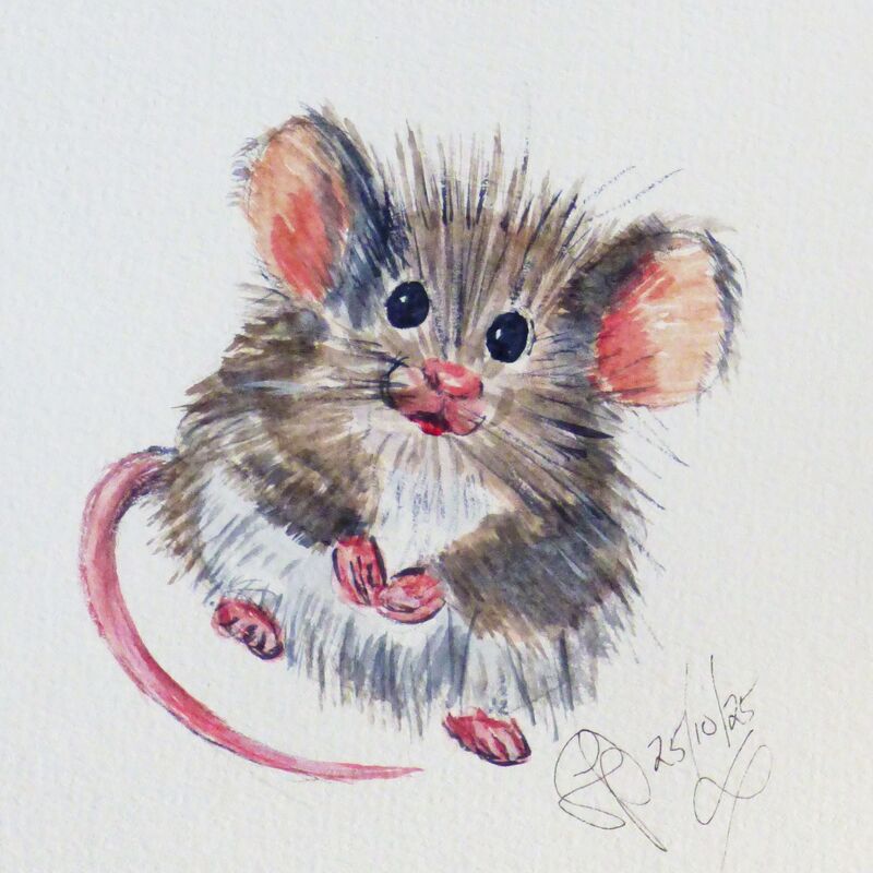 Cute Fluffy Mouse by Donna Collins